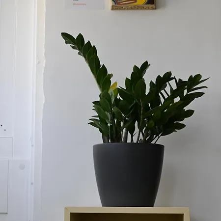 Apartman The Hive, Your Secret Sanctuary Floriana