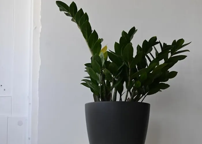 Appartement The Hive, Your Secret Sanctuary Il-Furjana